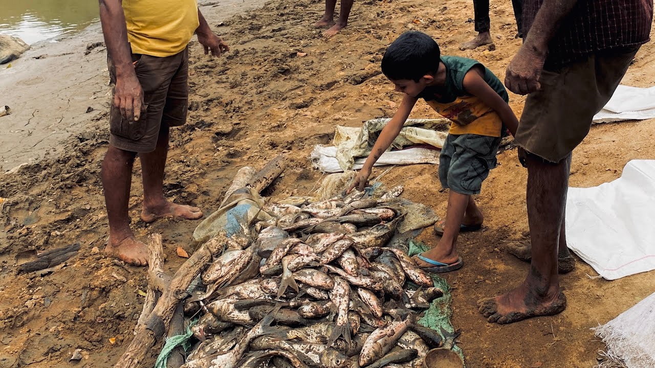 සියඹලන්ගමුව ගමේ ජලාශයේ මාලු අස්වැන්න I Amazing fish catching video 2026