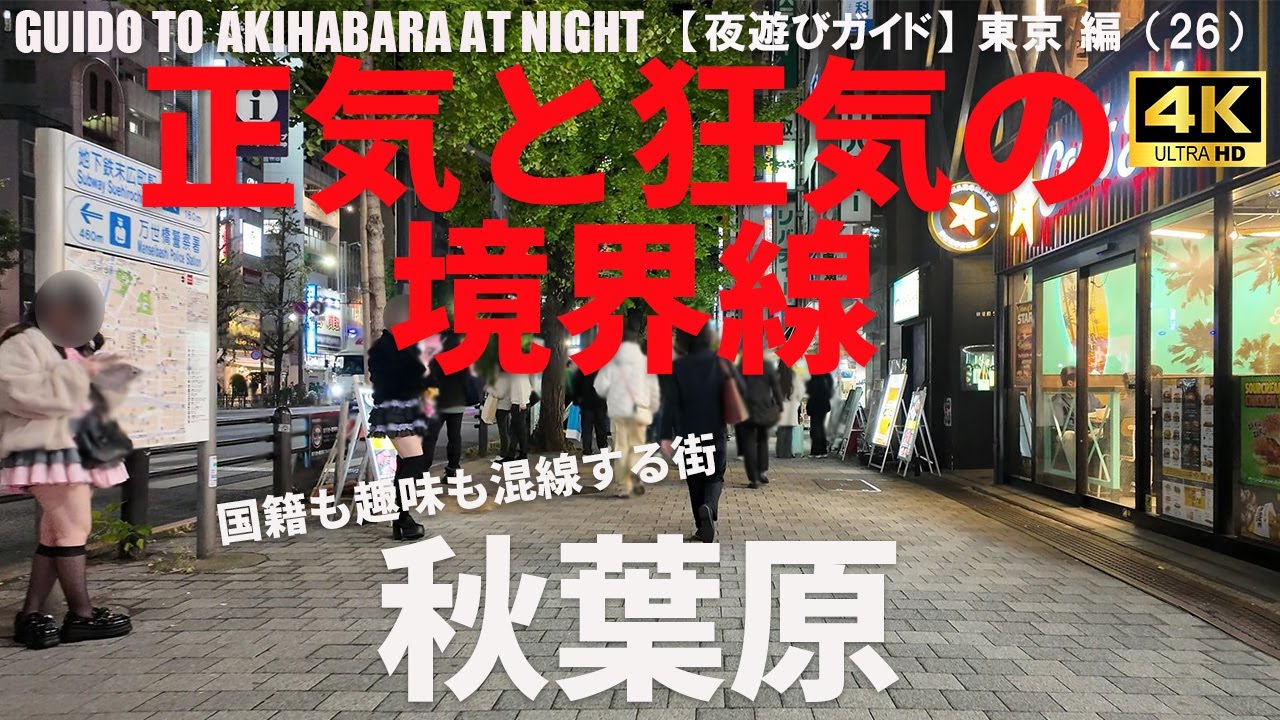 【バニーや病院のコンカフェなど】東京・秋葉原駅周辺の夜遊びエリア攻略ガイド/GUIDO TO AKIHABARA AT NIGHT/2025年11月/東京 編（26）/4K 日本・東京街歩き