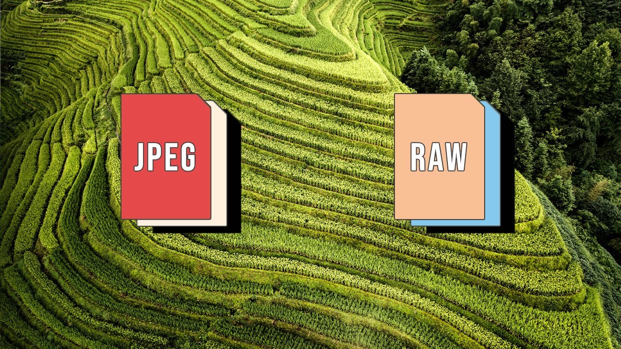 Raw e Jpeg: quale utilizzare e perchè