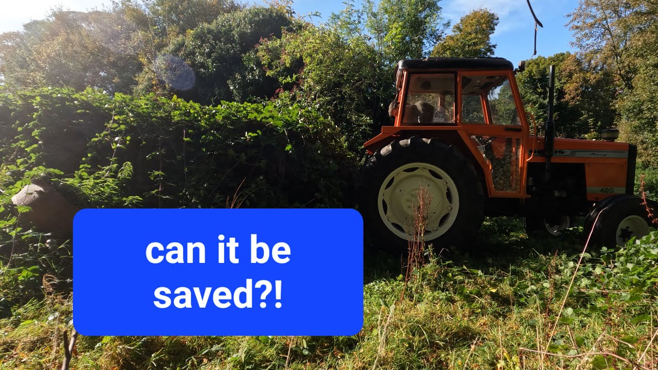 Restoring an old silage trailer .. From the hedge to a ledge