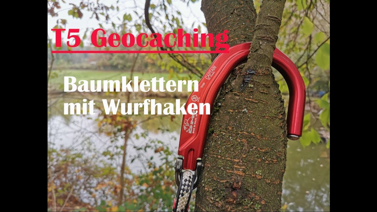 Geocaching T5 Klettern -  Baumklettern Überstieg mit Wurfhaken in Nachbarbaum