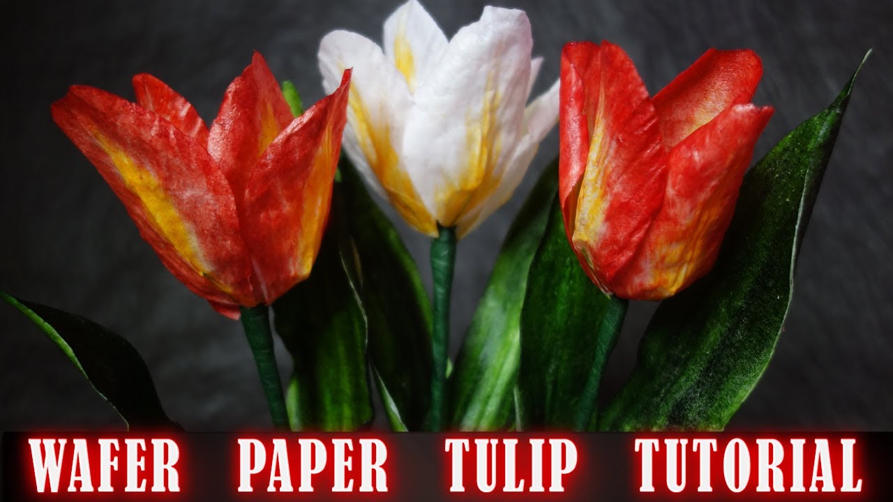 How To Make Wafer Paper Tulip Flower. Tulip Easy Tutorial. DIY. Wafer Paper Flowers. CC!