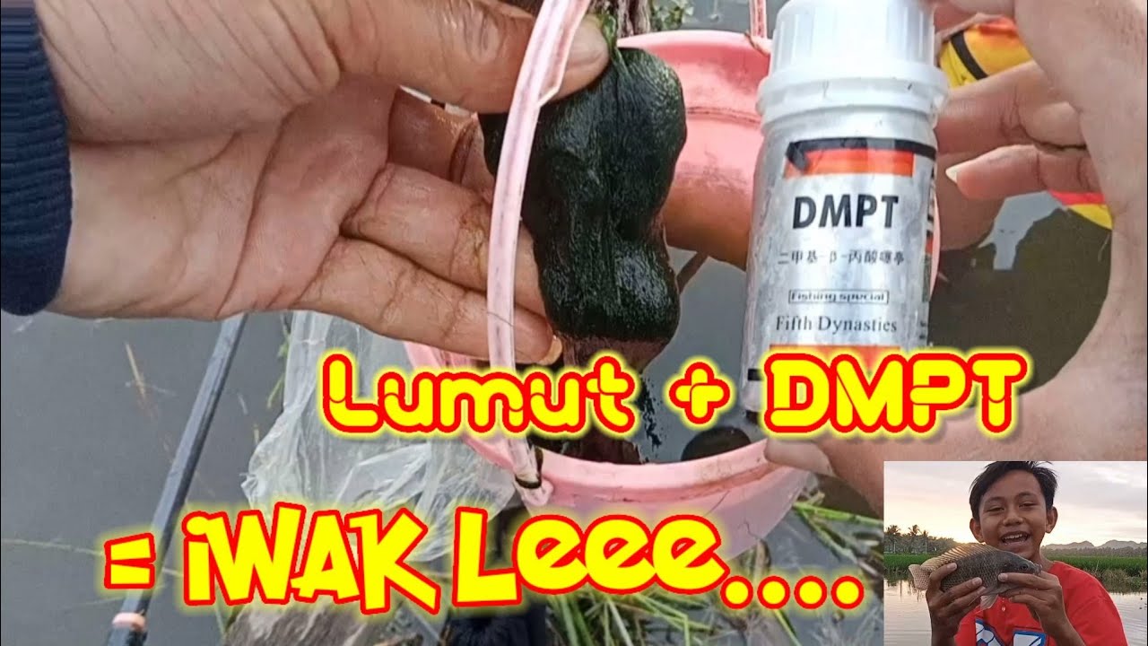 Tes umpan Lumut campur Vanilli Jerman #DMPT