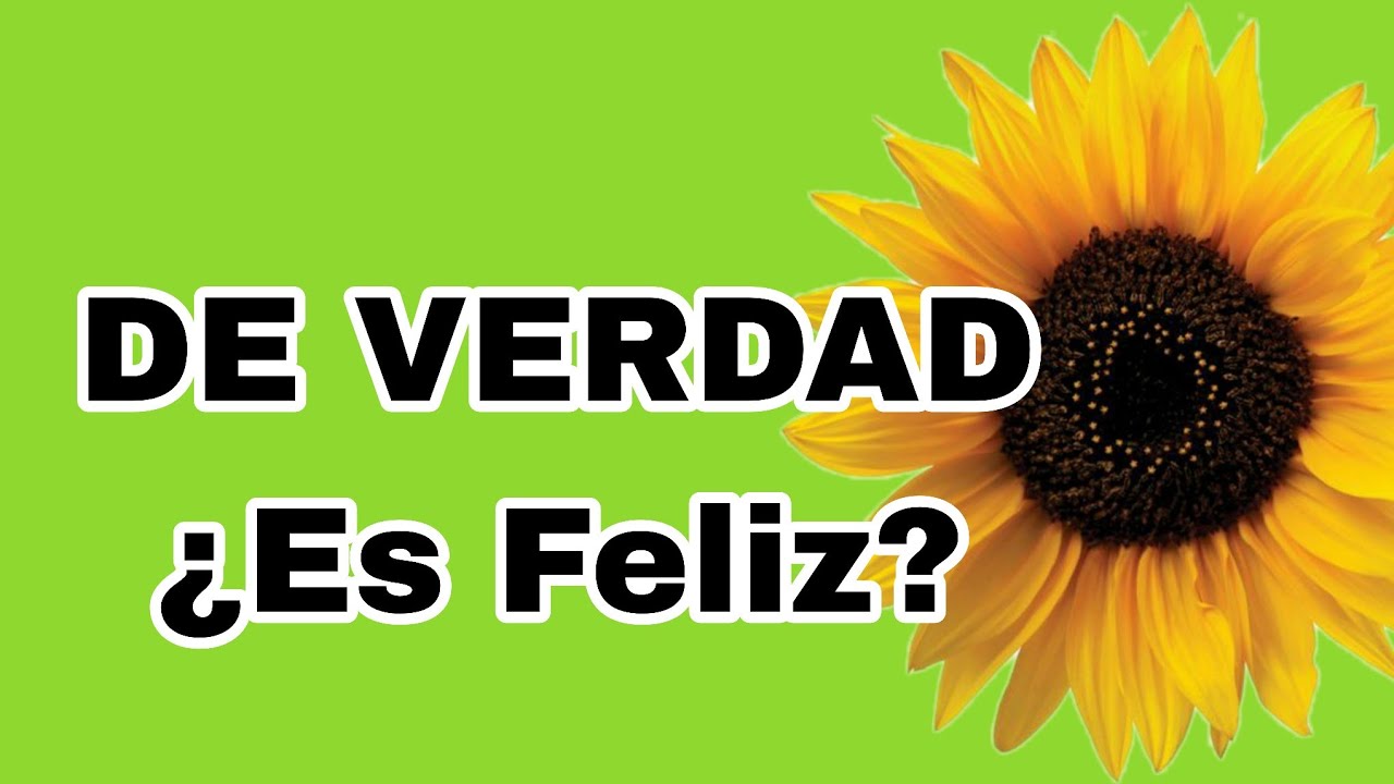 🤔🤨 &iquest;ES FELIZ DE VERDAD? 🤨🤔 Lectura Interactiva 