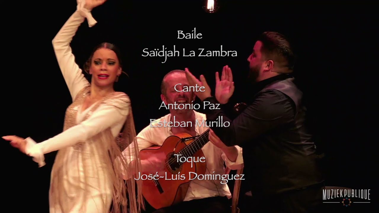 Bulerias de Cadiz - ¡FLAMENCO!