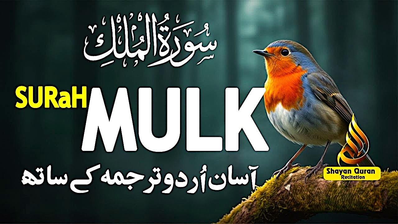 Surah Al-Mulk سورة الملك | Heart-Calming Recitation for Protection, Peace & Night | Qari Mansoor