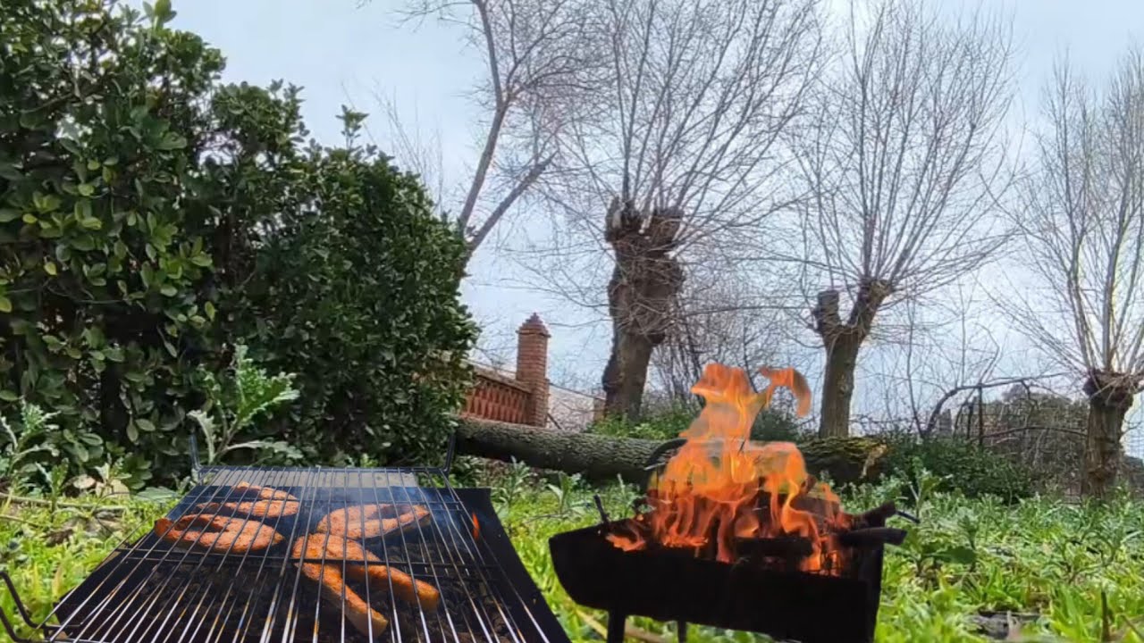 طهي سمك السلمون على نار الحطب استراحة هادئة في قلب الطبيعة 🌿 Cuisson de Saumon au feu