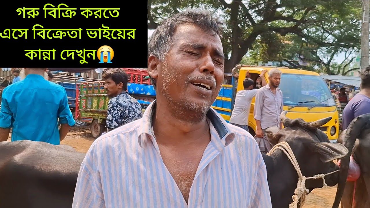 গাভী বাচ্চা বিক্রি করতে এসে বিক্রেতা কান্না করলো || বগুড়ার বিখ্যাত ধাপের হাট বাজার ২০২৫ | gorur hat