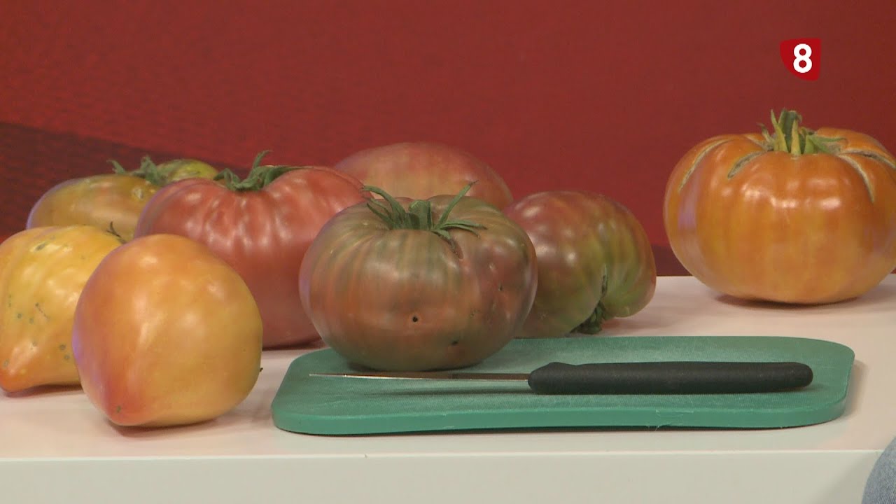 Tomates de premio