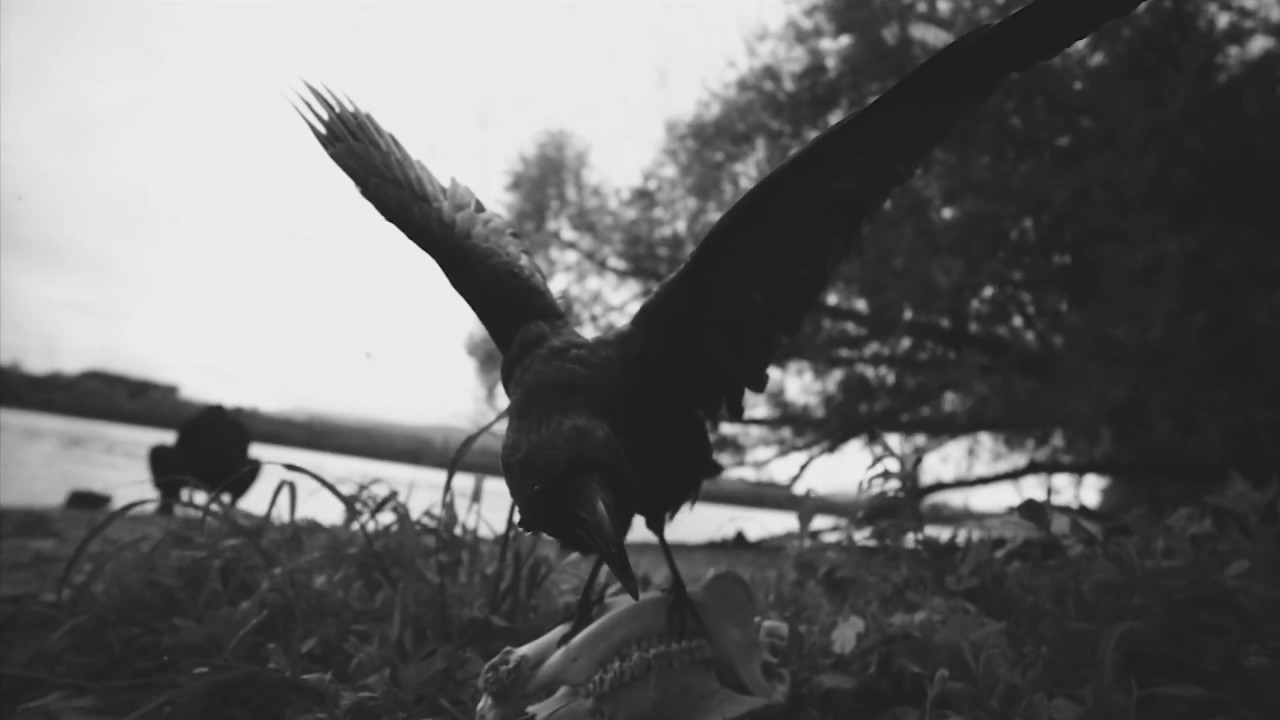 The Devil's Trade   Your Own Hell [Original Video]