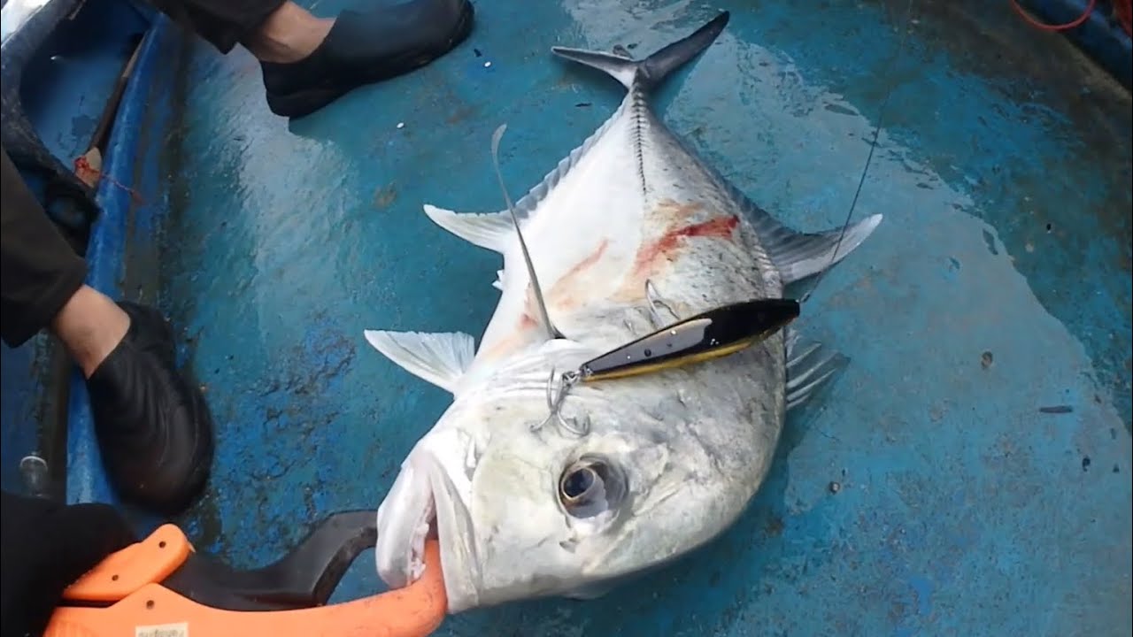 Sabah KB Popping GT / 沙巴浅海打波霸 / 牛蛮 / 牛港 / @RyuFishingTackles