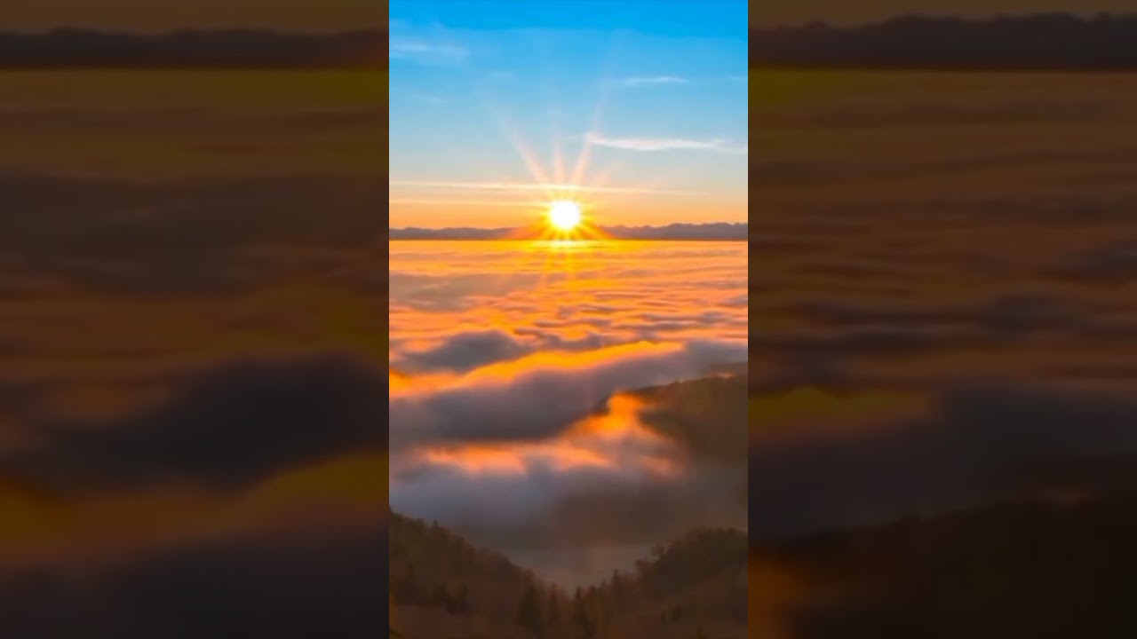 panggilan shalat || adzan || syekh ziauddin || short