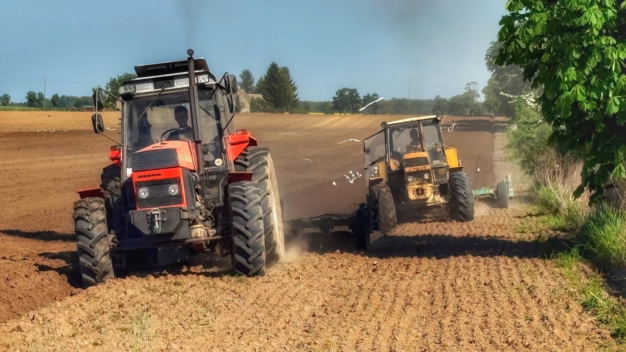 Dwie 6-stki Na Polu Orka Pod Kukurydze🌽🌽🌽.              Gr.Jaszczak
