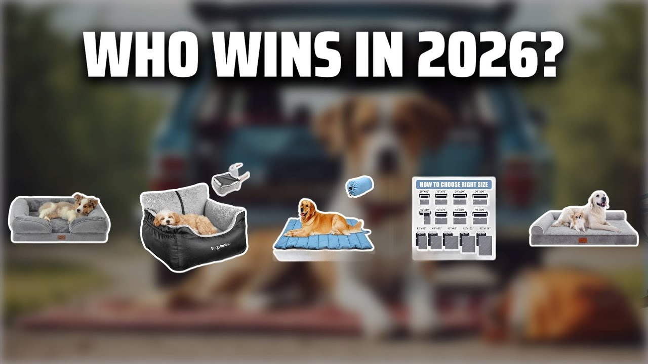 The Top 5 Best Travel Dog Bed in 2026 - Must Watch Before Buying!