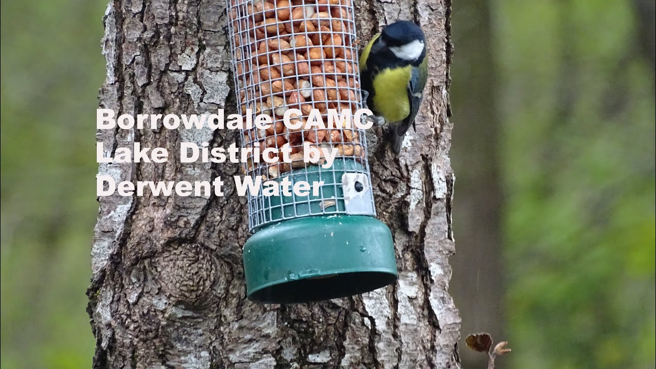 Ep 19 Borrowdale CAMC in Lake District