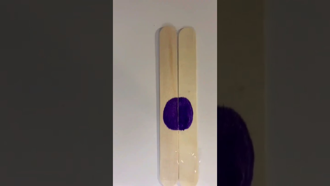 Actividades didácticas y entretenidas para niños 