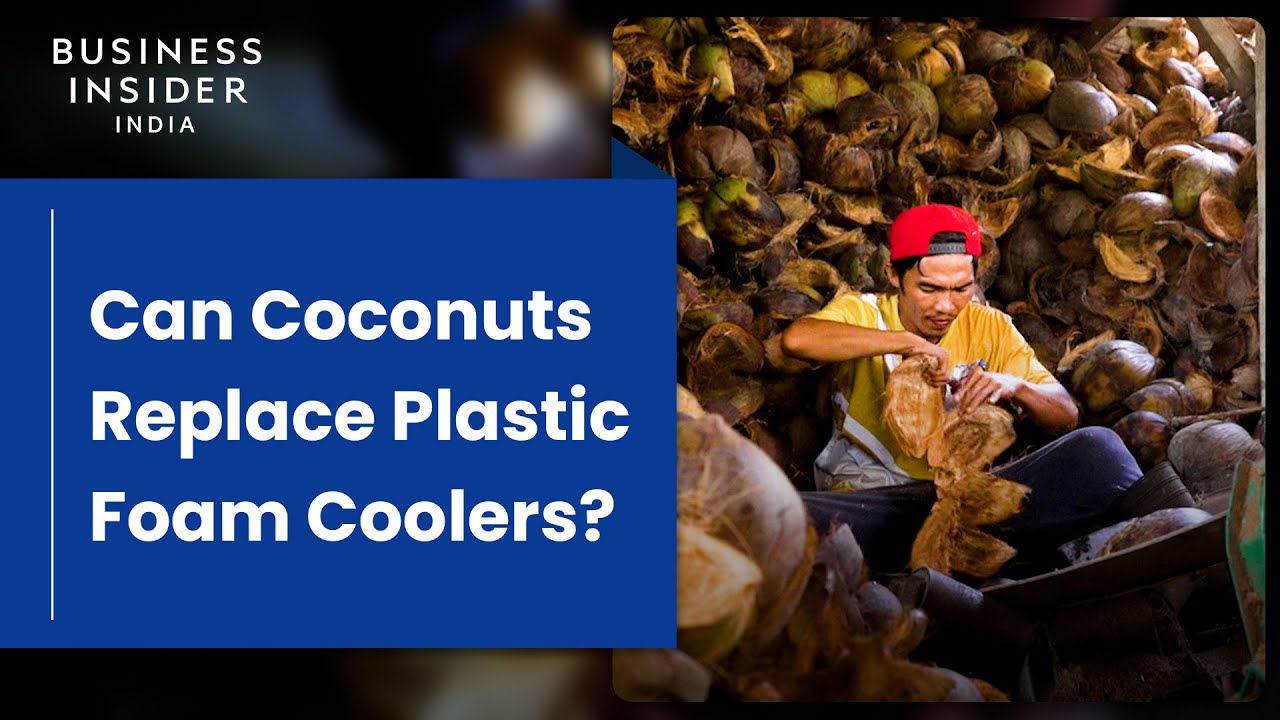 Can Coconuts Replace Plastic Foam Coolers?
