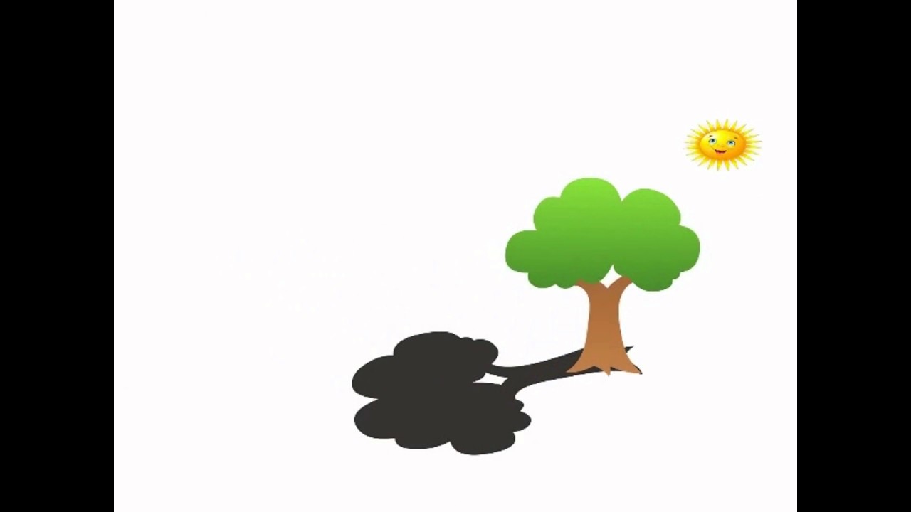 How to measure a tree's height