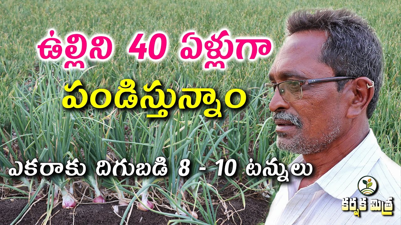 ఉల్లి పంటతోనె మాకు లాభం || Success Story of Onion Cultivation by Venkata Reddy || Karshaka Mitra