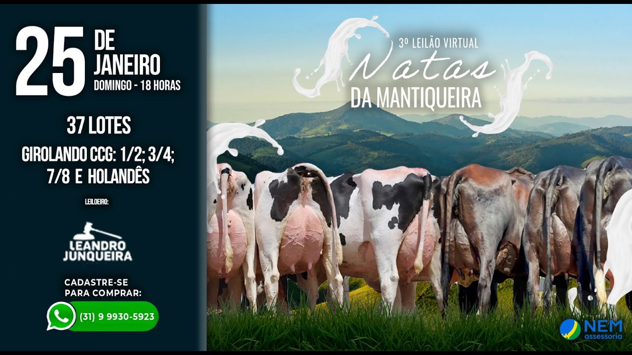 ✅ 3º LEILÃO VIRTUAL NATAS DA MANTIQUEIRA - 25/01/2026 ⏰ 18:00h