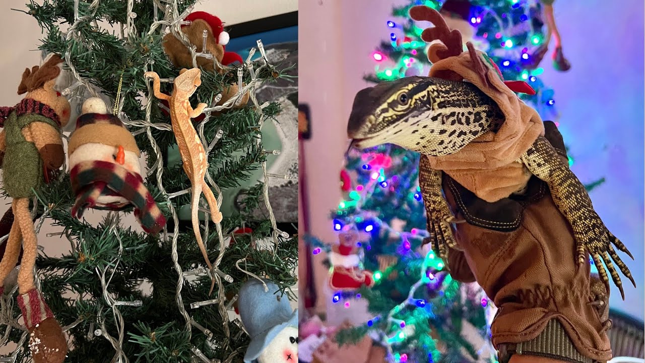 Fríos navideños entre placas térmicas, focos cerámicos, termostatos y demás artilugios calefactores