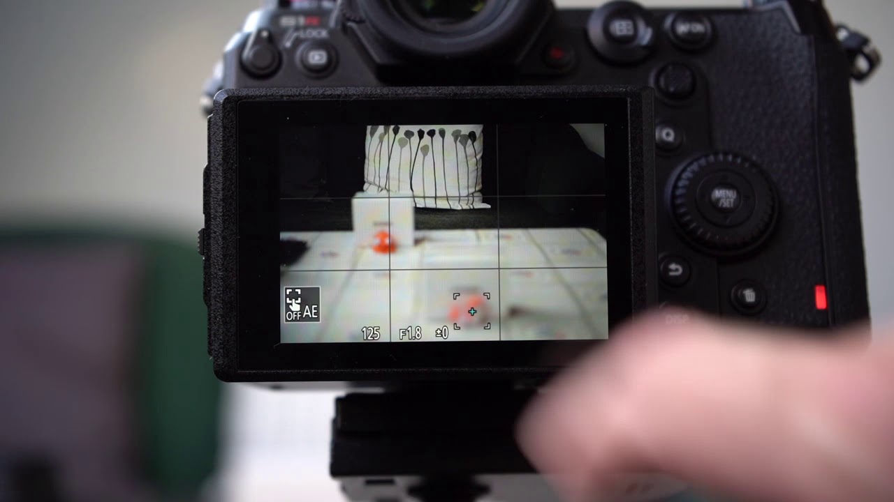 canon 50 mm f1 8 stm with sigma mc 21 on panasonic dc s1r
