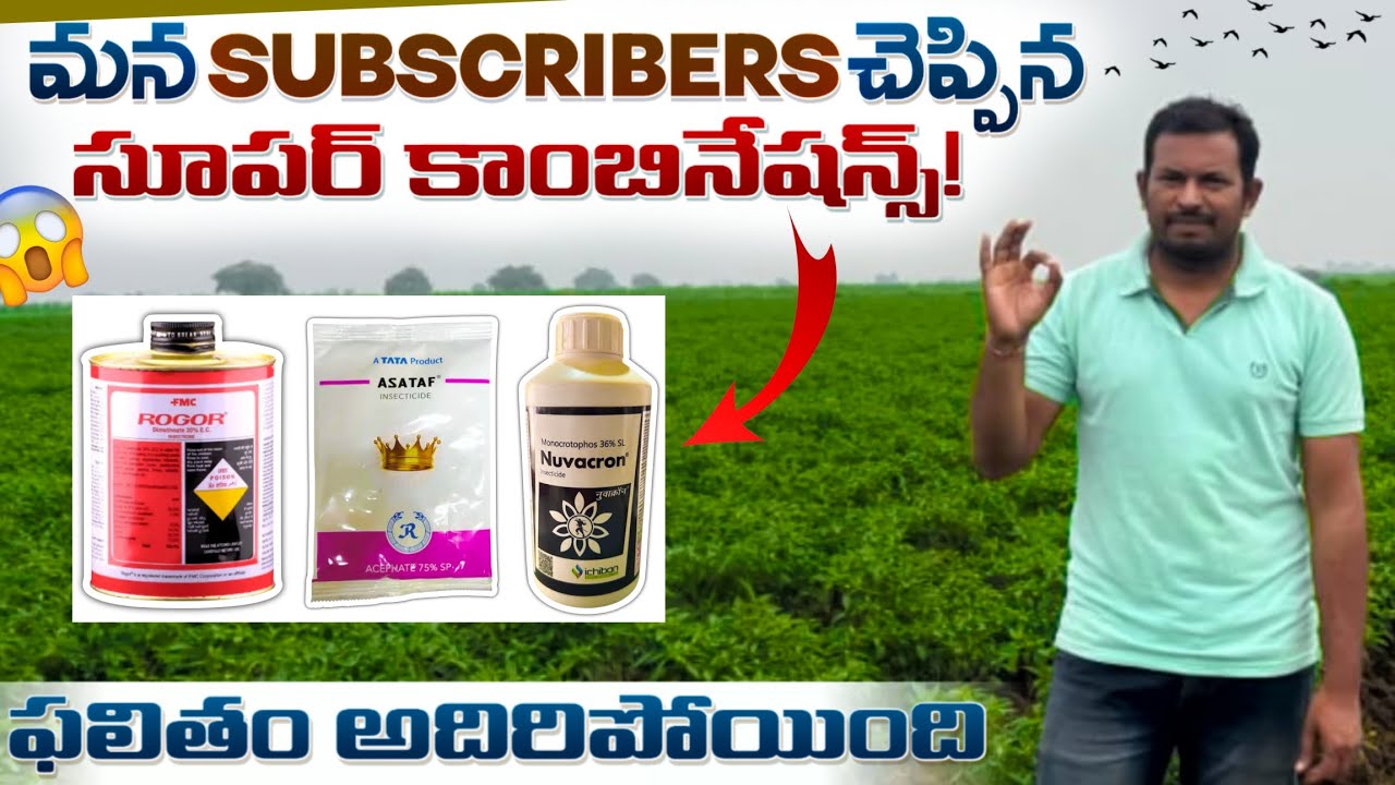 మతిపోయే రిజల్ట్! Subscriber చెప్పిన సీక్రెట్ కాంబినేషన్ ఇవే | Effective Tips in Telugu