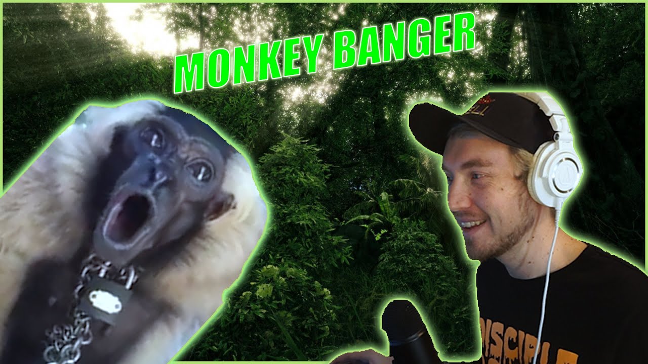 Turning A Monkey Into Trap Music