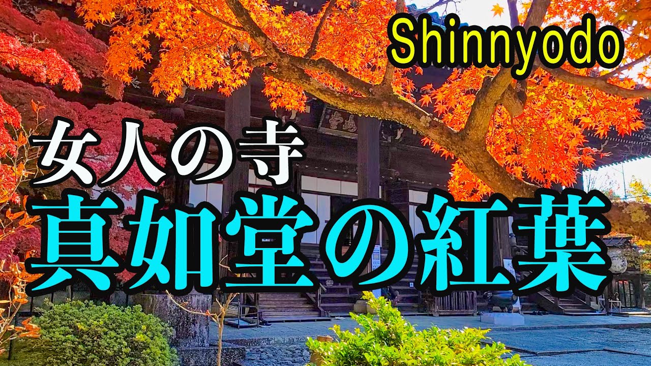 2025「真如堂」の紅葉　Shinnyodo