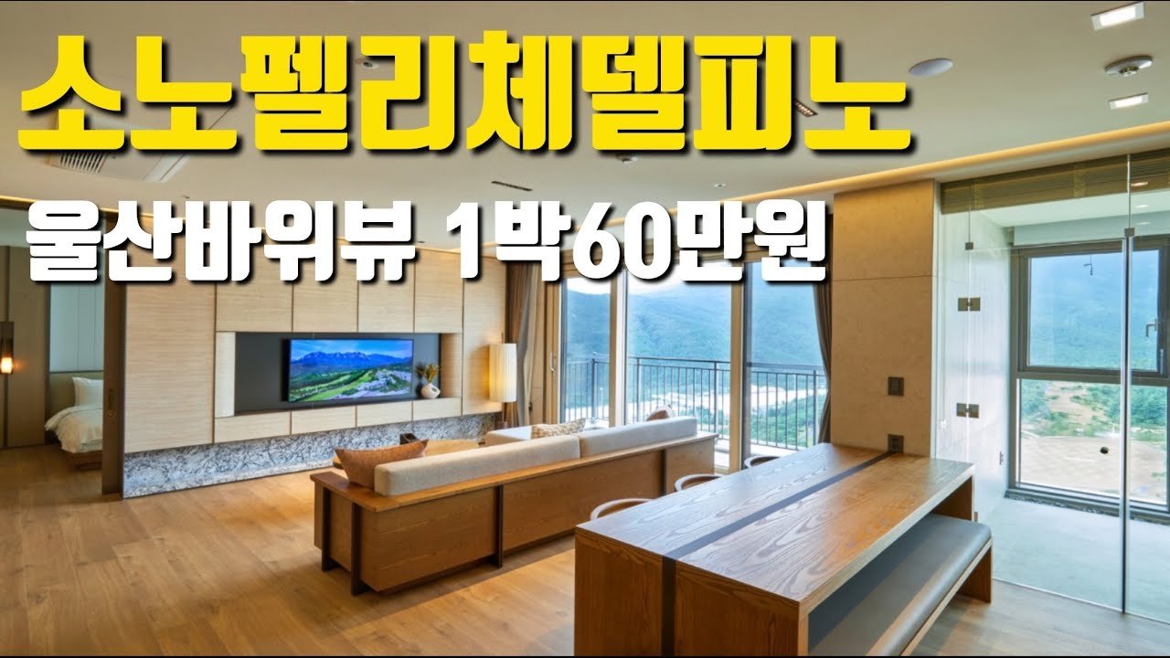 소노펠리체 델피노(고성)
