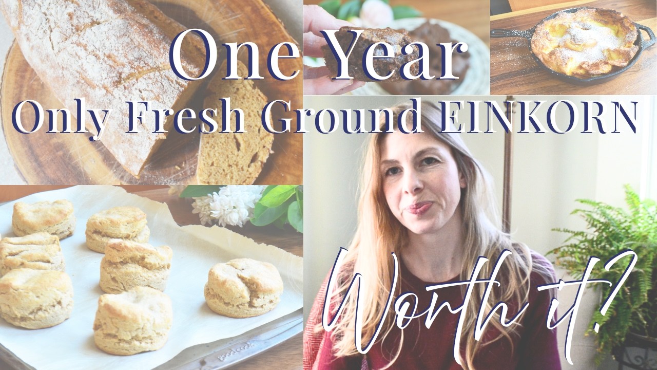 One Year On Fresh Ground Flour | Fresh Ground Einkorn | Fresh Ground Flour Testimony |