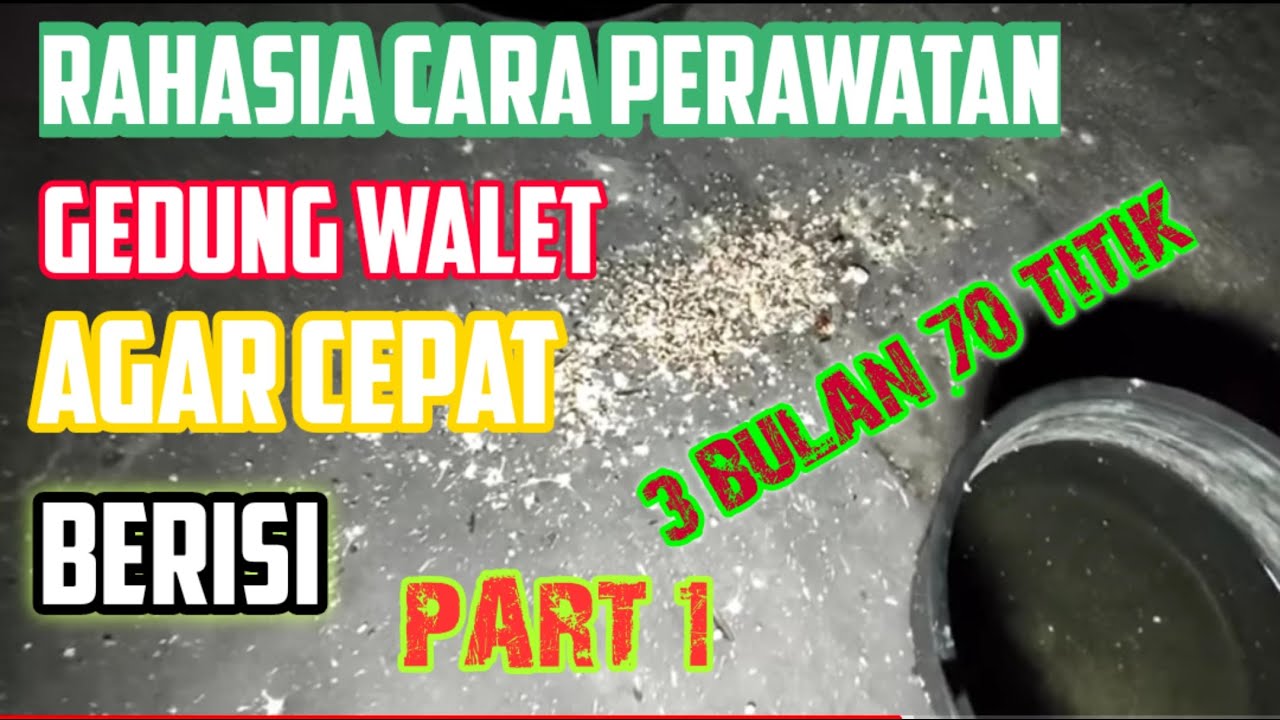 3 Bulan ON Sudah Ada 70 Titik Ketahui Cara Cara Perawatannya