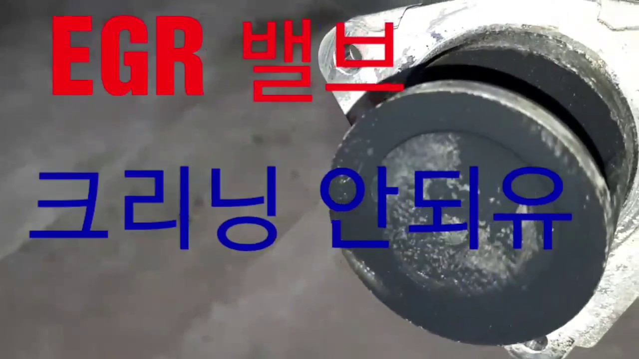 -EGR 밸브 크리닝 해도될까요? 추천하진 않습니다