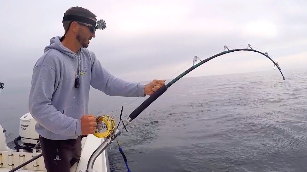 I Caught a 700 Pound Bluefin Tuna...