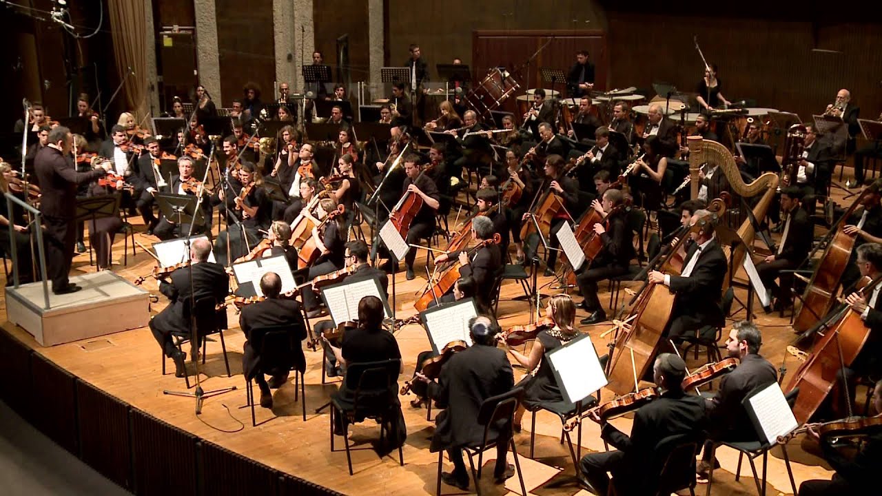 Symphony No. 1 in D major 