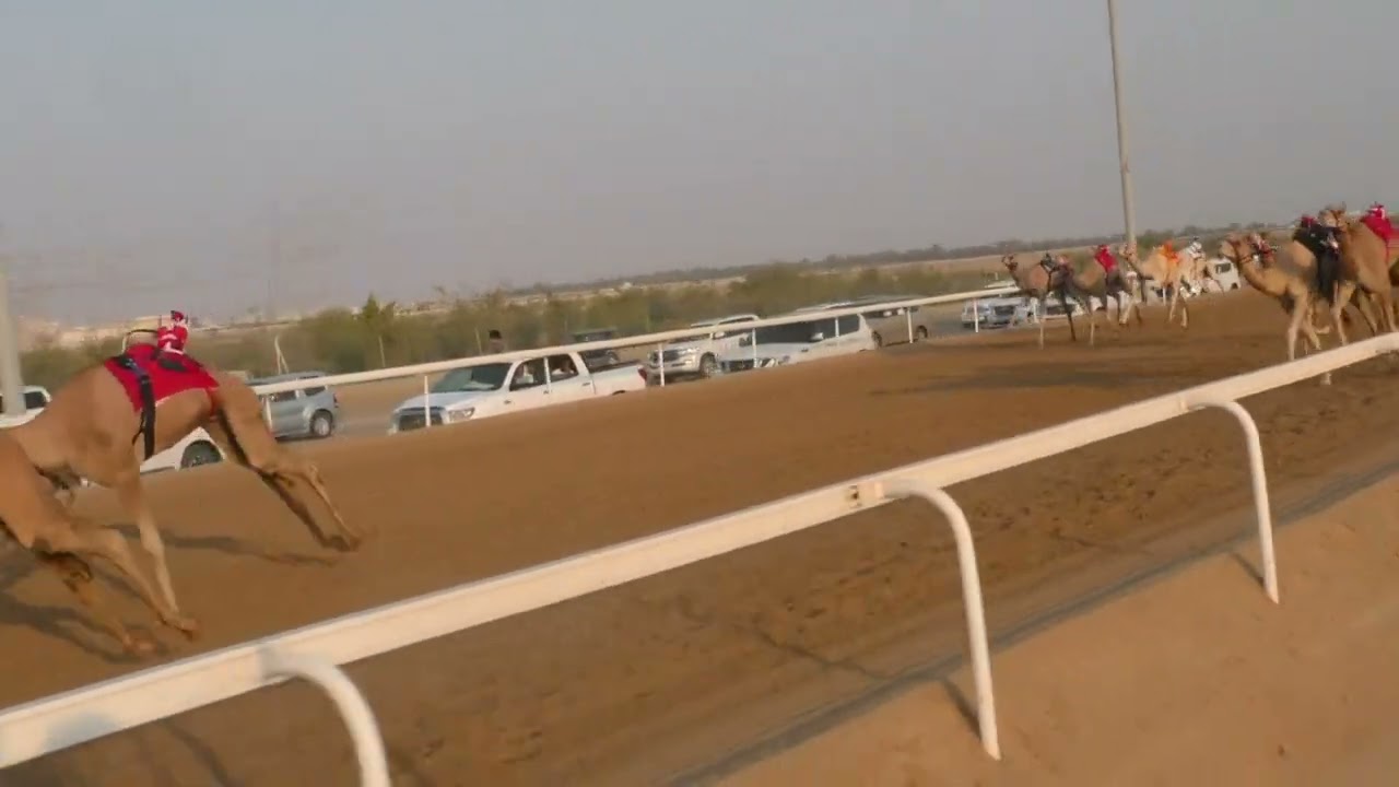 الشوط9(شواهين) ل عبيد حمد بنيه العامري توقيت 4:41