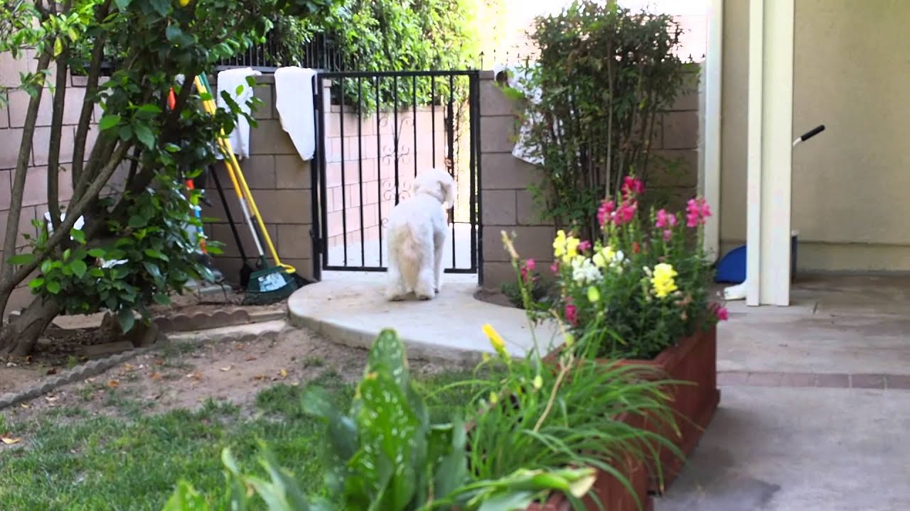 Kodak PixPro SP1 Test (by Doodle)