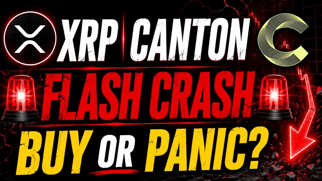 XRP & CANTON NETWORK LAST CHANCE TO BUY THE DIP