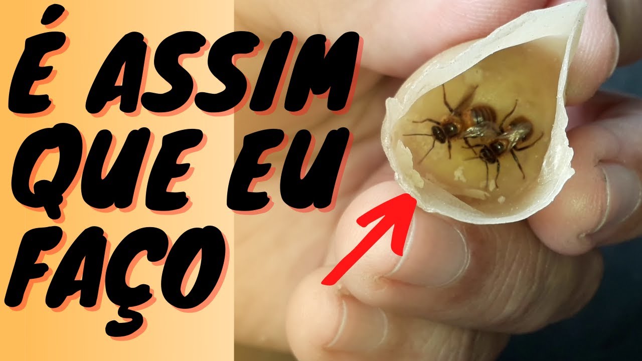 TÉCNICA que eu FAÇO para ACHAR PRINCESAS de URUÇU