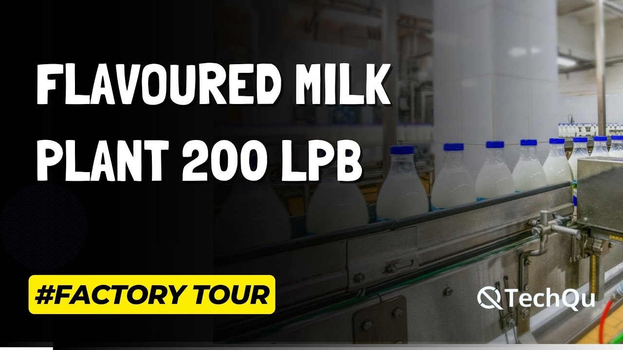 Flavoured Milk Processing Plant Factory Tour | Flavoured Milk Business