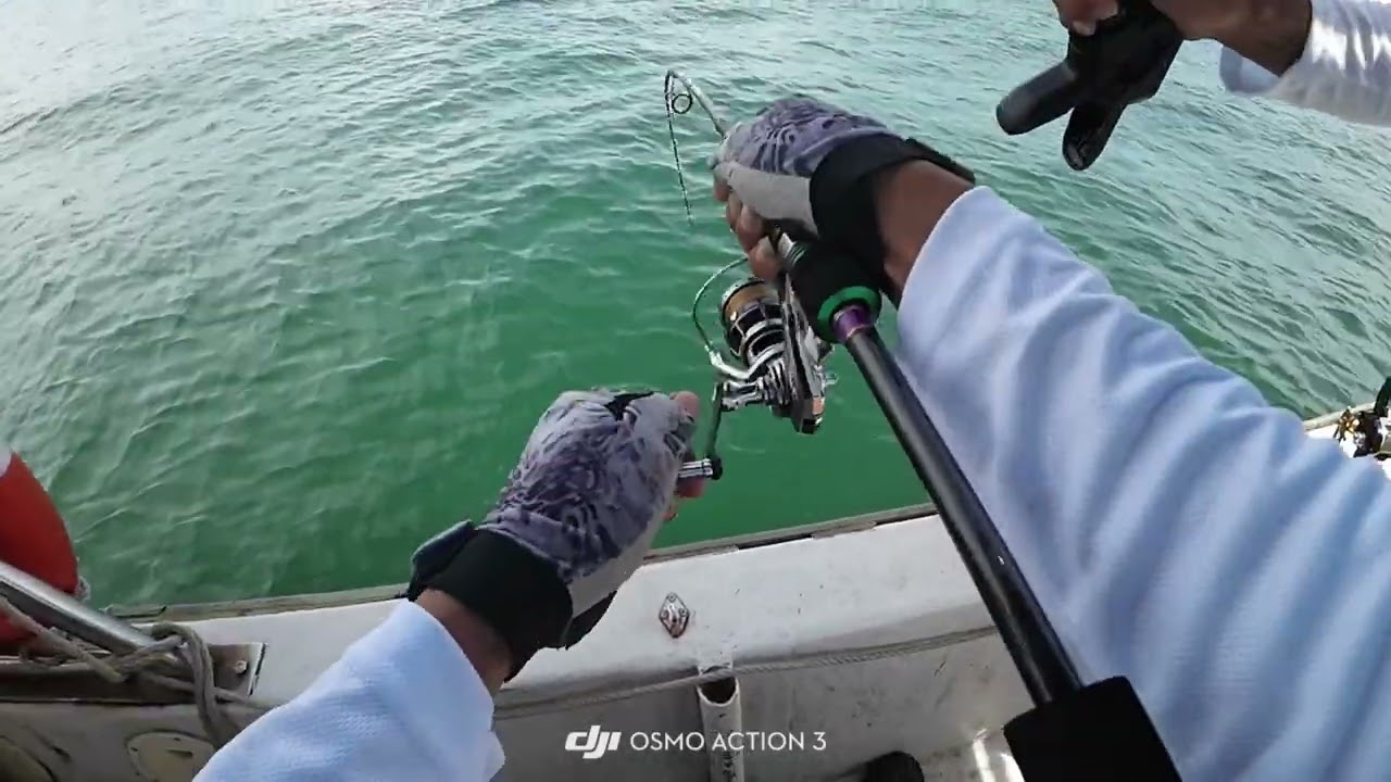海钓 快抽EXTEND SHARK SERIESPE 0.8-2.0JIG WIT 20G-150GEXTEND VAVAS FC 80% FLOUROCARBONSOFT LEADER 30LB