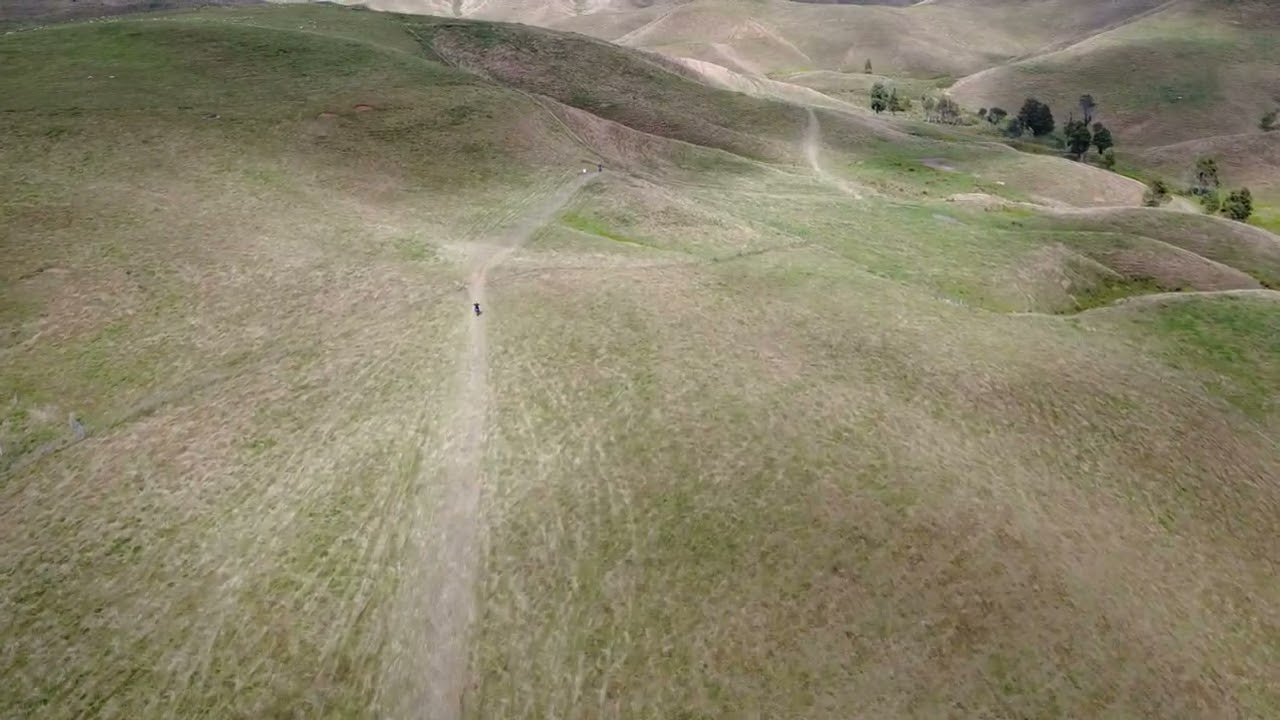DJI 0059