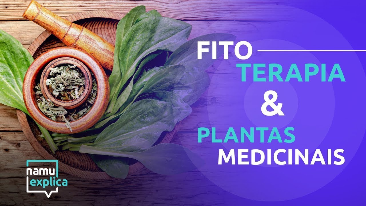 Fitoterapia e plantas medicinais principais benefícios - NAMU Explica