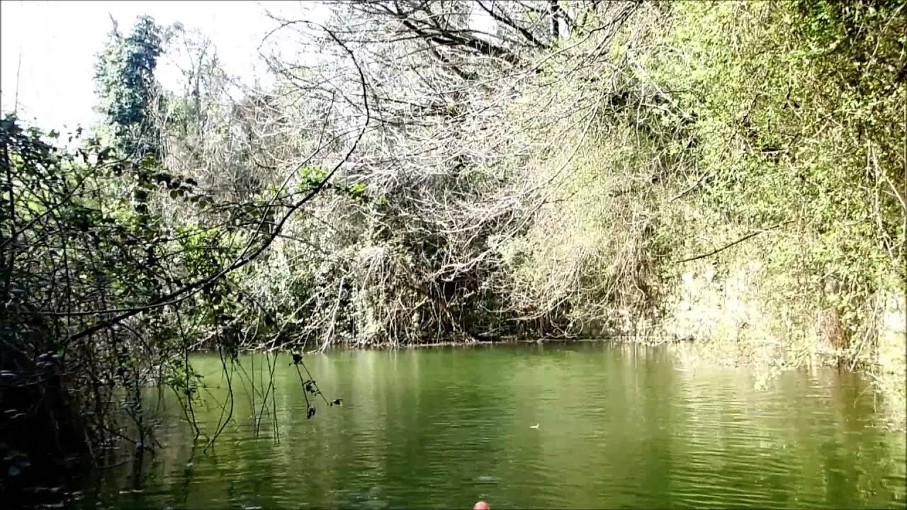Forte Carpenedo a filo acqua
