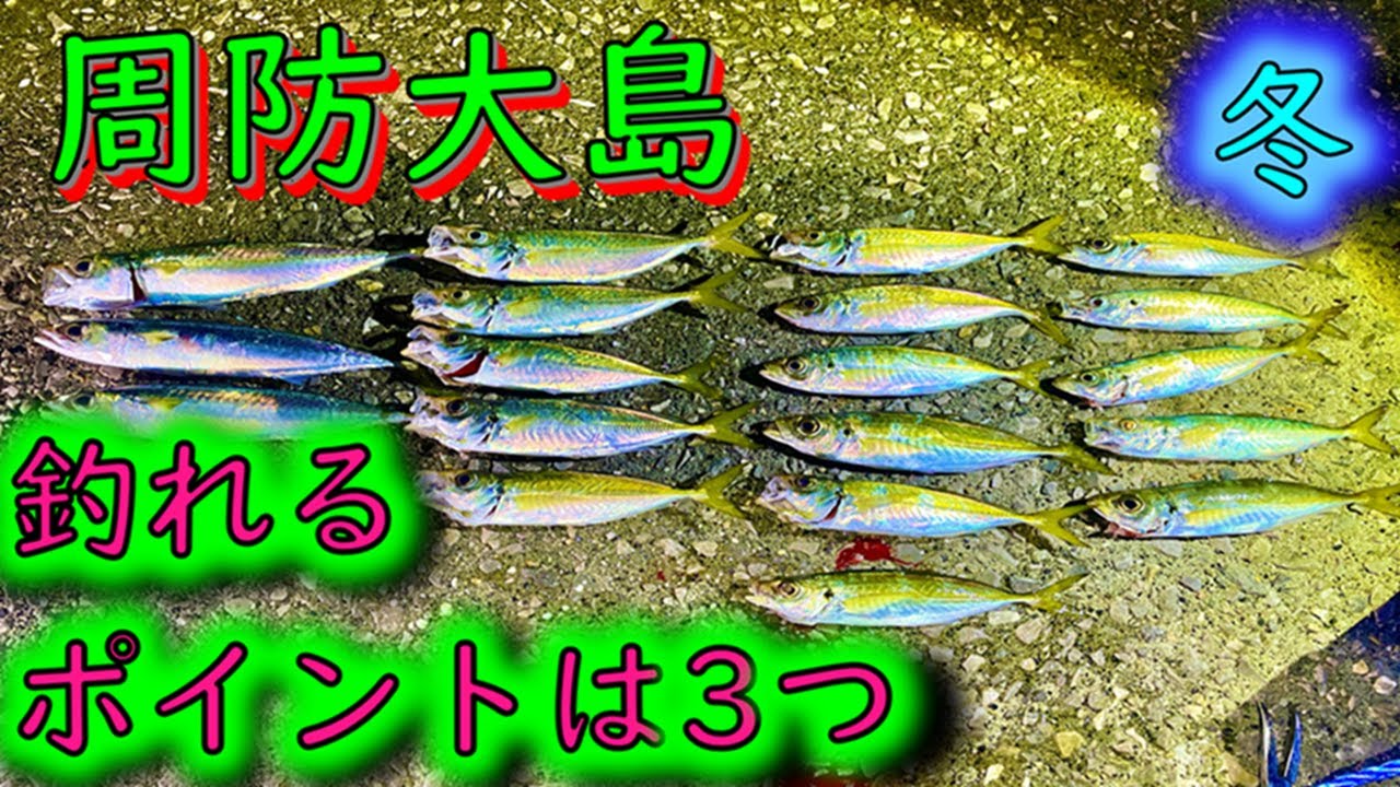 【周防大島釣り】厳しい冬の釣果・攻略ポイント3つ