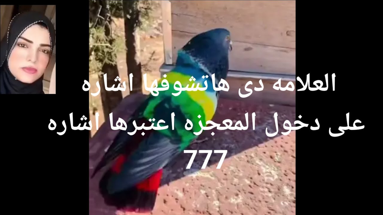 لعلامه دى هاتشفها اشاره على دخول المعجزه اعتبرها اشاره من ملاكك الحارس 777