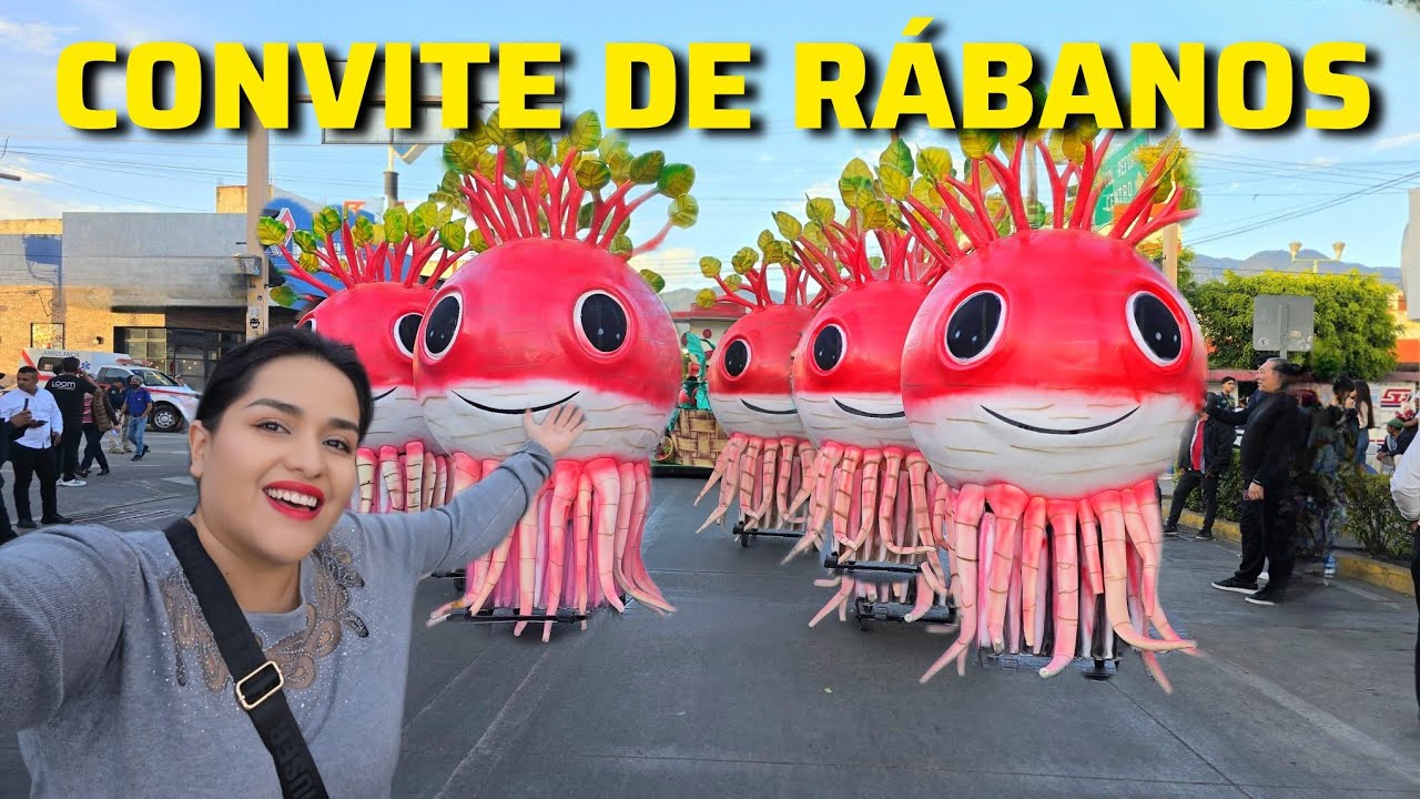 CONVITE de NOCHE DE RÁBANOS en OAXACA 2024.