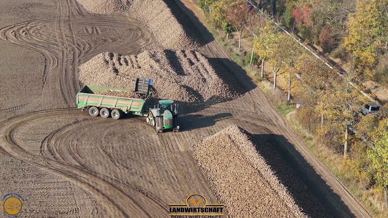 Das sind alles Zuckerrüben! XXL Rübenernte Rüben Roden John Deere 9620RX Als Überlad Fahrzeug