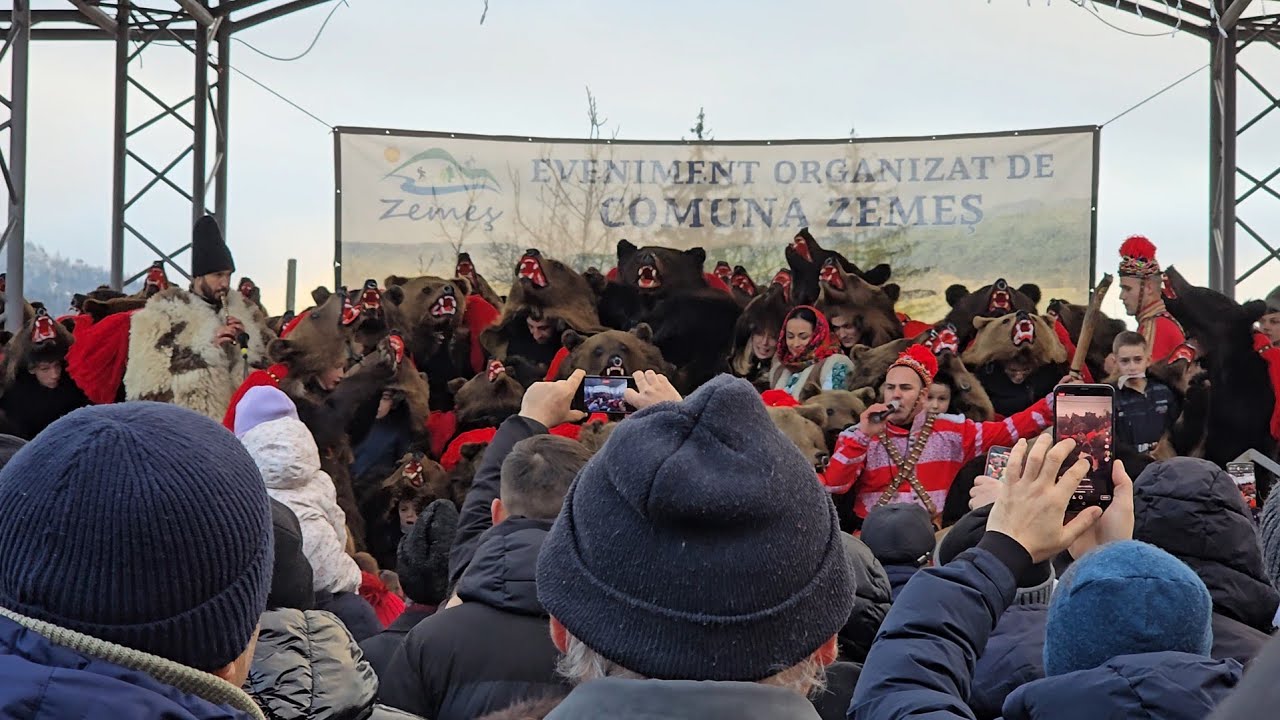 Ursul din Zemeș 2024 !