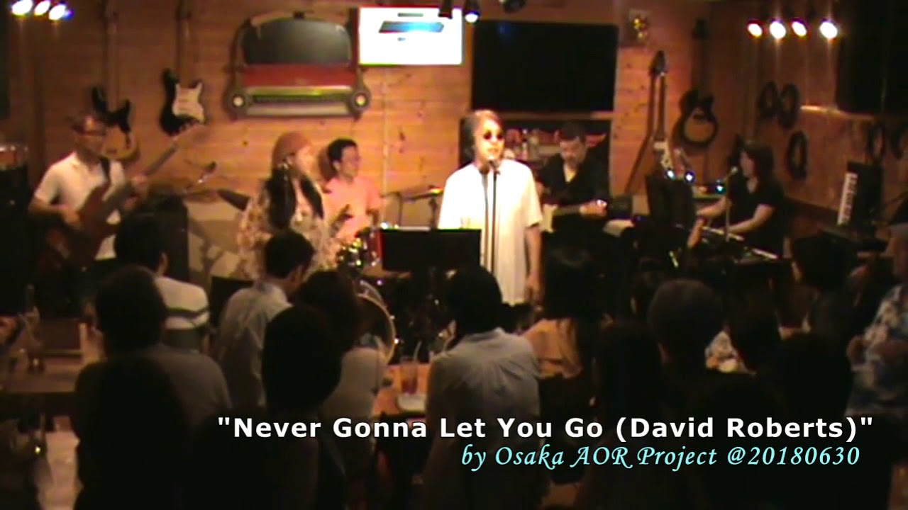 Never Gonna Let You Go - David Roberts [by Osaka AOR Project]